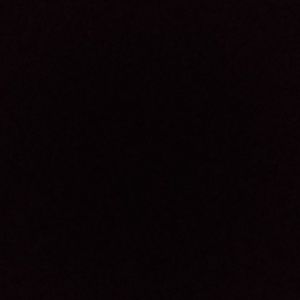 Meet your Posher, Jacee